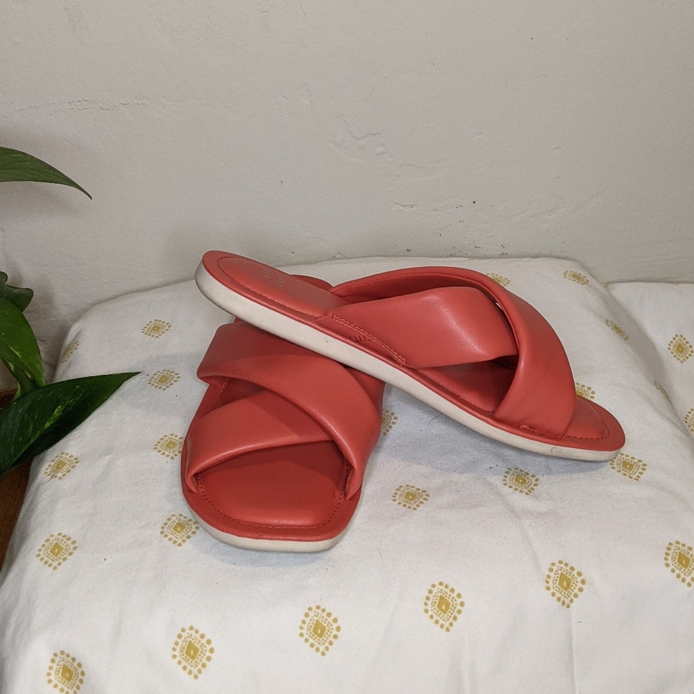 🪸 Coral Slides 🪸